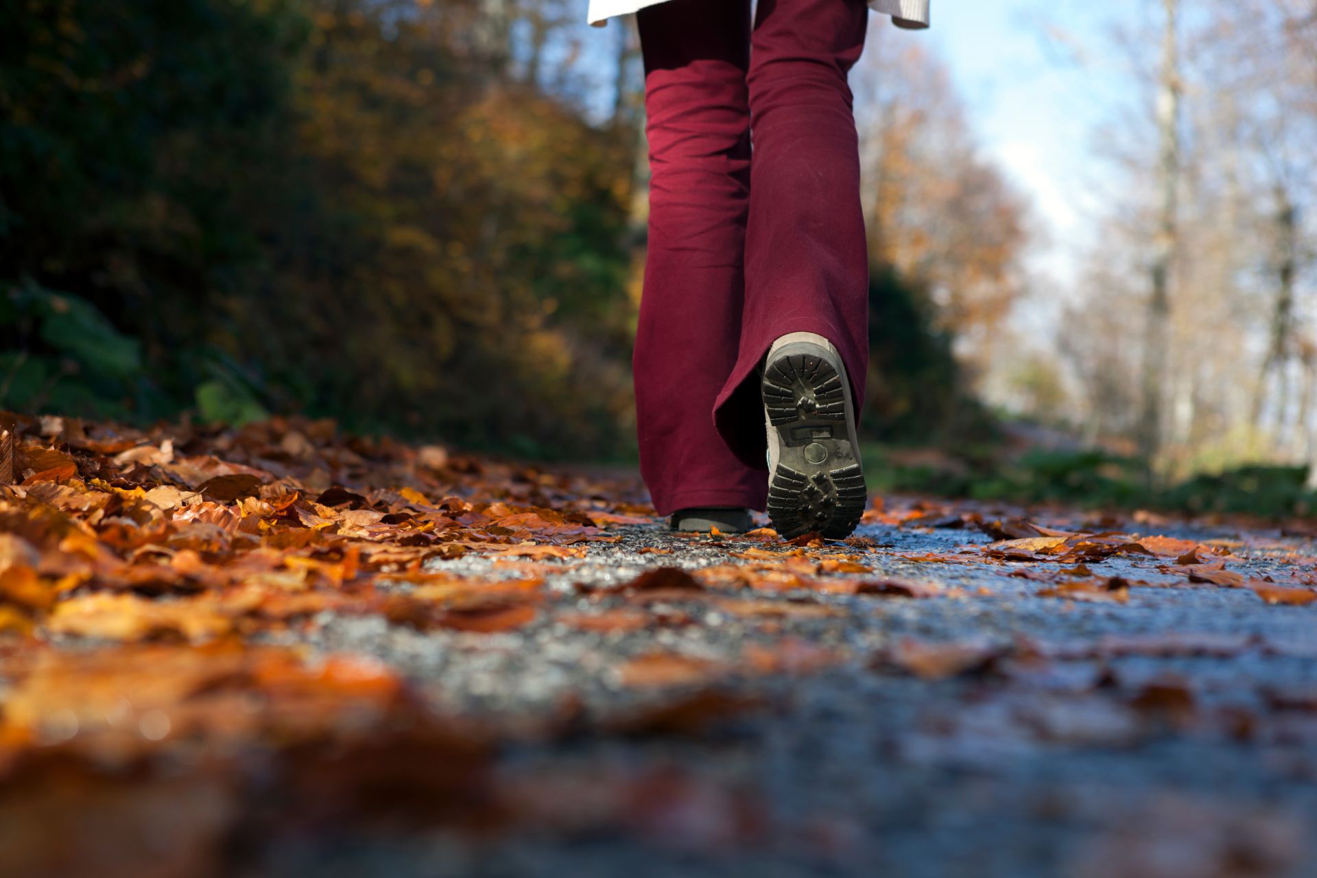 wandeling als je ischias hebt